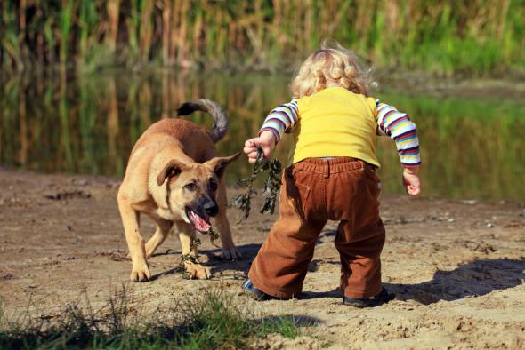 Μάθετε τα μικρά σας να προστατεύονται από τα σκυλιά